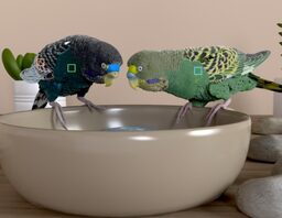 Procedural multiscale feather rendering
